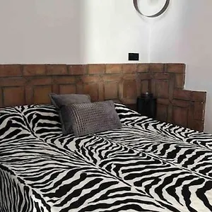 Golum Apartamento